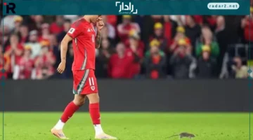 تأخير مفاجئ.. فأر يعطل مباراة ويلز وبلجيكا في تصفيات كأس العالم لفترة قصيرة